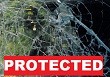 DMS Tinting, Graphics & Signage Pic 2 - Protect from accidental damage and intruders with 3M Safety Security Film