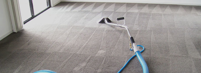 Fresh Carpet Cleaning Adelaide Pic 1 - Professional Carpet Steam Cleaners experienced in carpet stain removing carpet shampooing carpet deodorising carpet sanitisation carpet protection and carpet health guard services Carpet Odour Removal Spot Treatment Guaranteed Call 1800 335 919for