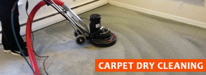 Fresh Carpet Cleaning Adelaide Pic 2 - Professional Carpet Steam Cleaners experienced in carpet stain removing carpet shampooing carpet deodorising carpet sanitisation carpet protection and carpet health guard services Carpet Odour Removal Spot Treatment Guaranteed Call 1800 335 919for