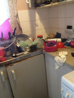 Analia's Cleaning Services Pic 5 - before