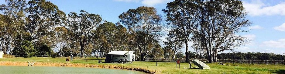 Coonawarra Bush Holiday Park Pic 1 - View over the lake