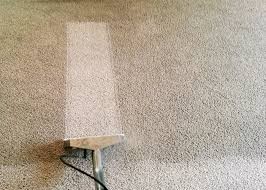 Carpet Cleaning Malvern East Pic 3