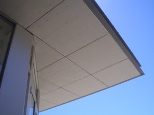 Fixin Gypsin Pty Ltd Pic 2 - Eaves