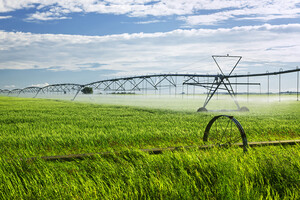 Water Bore Pumps Pic 4