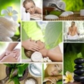 Oneness 4 Life Pic 1 - Signature Wellness treatments