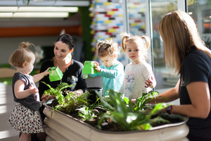 The Brook Early Education and Care Pic 5 - Caring for the Environment through Sustainable Practises