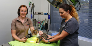 Veterinary Practice Partners Pic 3