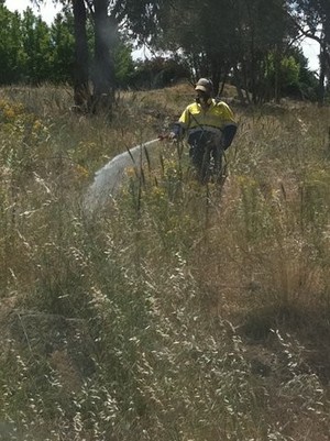 GLT Weed Management Pic 2 - Hand Spraying