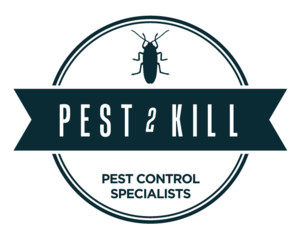 Pest2Kill Pic 4