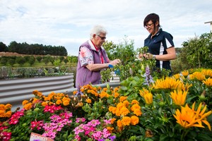 Seasons Mango Hill Pic 2 - Beautifully landscaped with herb and vegetable gardens