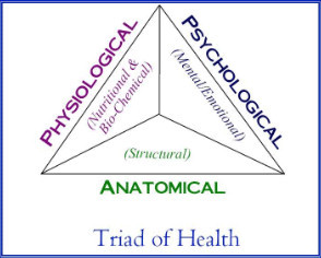 Gold Coast Remedial Therapies Pic 1 - Kinesiology Balances Holistically