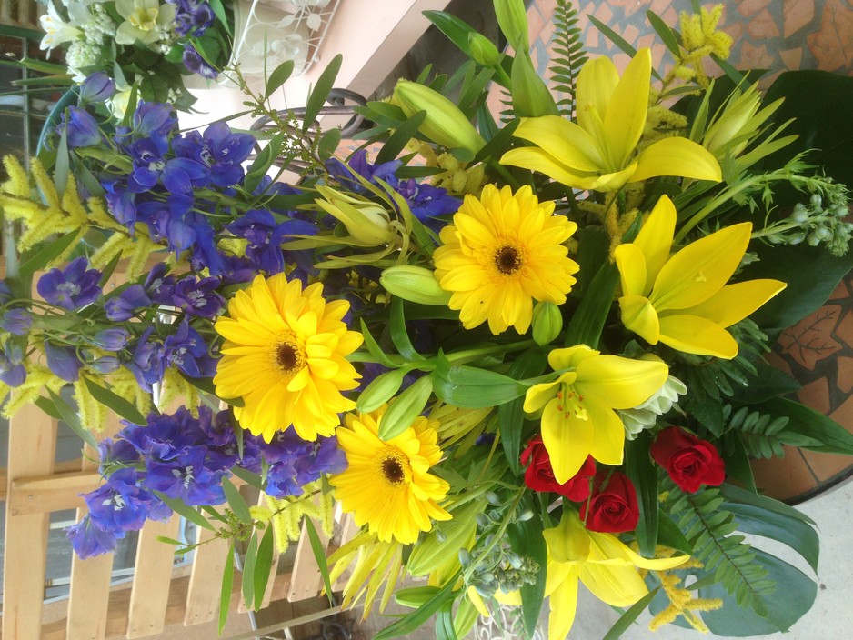 Koonoomoo Flowers & Florrangements Pic 1 - Yellows blues beautiful complimentary colours happy flowers Gerberasv Delphiniums