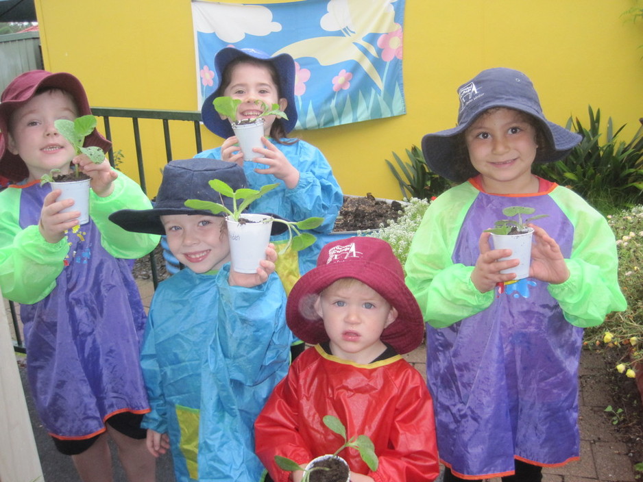 Gumleaf Cottage Early Years Learning Pic 2 - Commitment to Environmental Sustainability