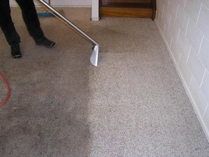 Blowdry Carpet & House Cleaning Pic 4 - carpet cleaning