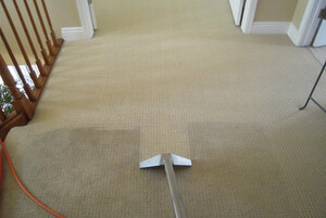 Carpet Cleaning East Fremantle Pic 4