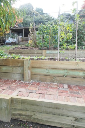 Wattle Ya Do Pic 3 - Eco timber retaining walls safe for veggie gardens