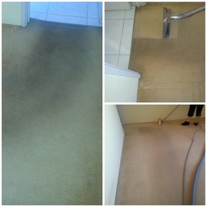 Express Carpet Cleaning Port Kennedy Pic 5