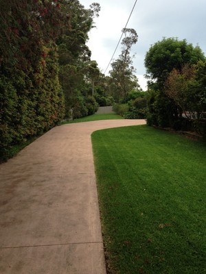 All Home Services - Lawns & Gardens Pic 3 - Machine edges manicured lawns hedging