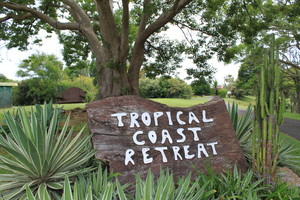 Tropical Coast Retreat Pic 4