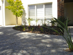 N-Trance Dingo services Pic 5 - budget front yard to customers specifications