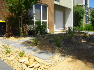 N-Trance Dingo services Pic 3 - low maintenance frontyard