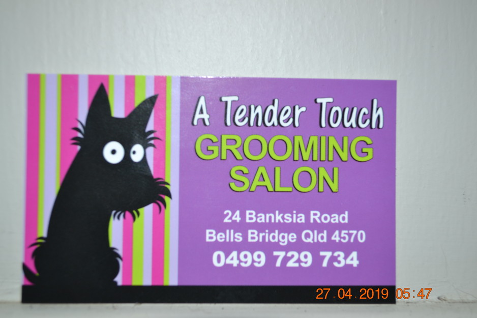 A Tender Touch Grooming Salon Pic 1 - Grooming with patience and care