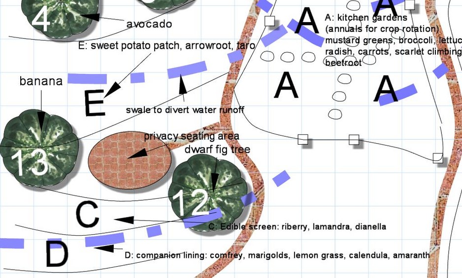 Urban Farmers Pic 1 - edible landscaping plan