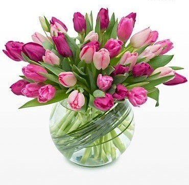 Flowers by the Beach Pic 1 - Tulips in vase