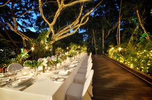 Stagelife Pty Ltd Pic 2 - Stagelife created an elegant dinner for the launch of Diane von Furstenbergs penthouse suite on Hayman by setting the tree canopy alight and bringing the rainforest onto the table