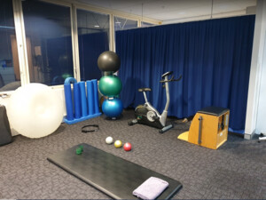 Your Health Domain (Prev. Domain Physiotherapy) Pic 2 - ExercisePilates Space