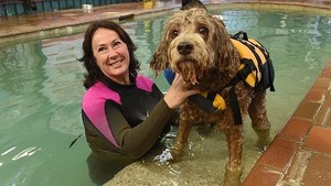 K9 Swim Hydrotherapy and Wellness Centre Pic 3