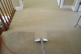 Carpet Cleaning Rosebery Pic 2