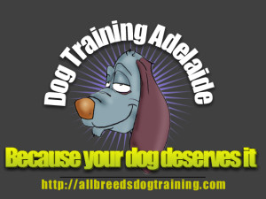 All Breeds Dog Training (Aust) Pic 1 - Because your dog deserves it