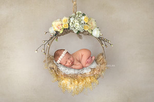 Melissa Sheed Photography Pic 4 - sleeping baby in yellow floral basket