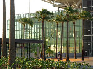 Wilson Landscape Architects Pic 3 - Suncorp Stadium Brisbane