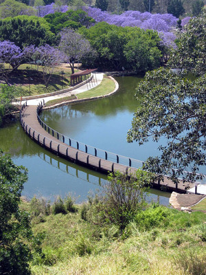 Wilson Landscape Architects Pic 2 - UQ Lakeside Walk