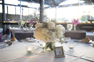 underatreehouse Pic 4 - Central Coast Wedding Photographer Modern Beautiful Best