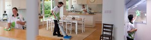 VIP Home Cleaning Gawler and Surrounding Districts Pic 3 - Regular Home Cleaning