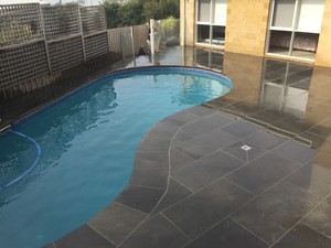 The Landscaped View Pic 3 - Honed Bluestone with curved pool coping