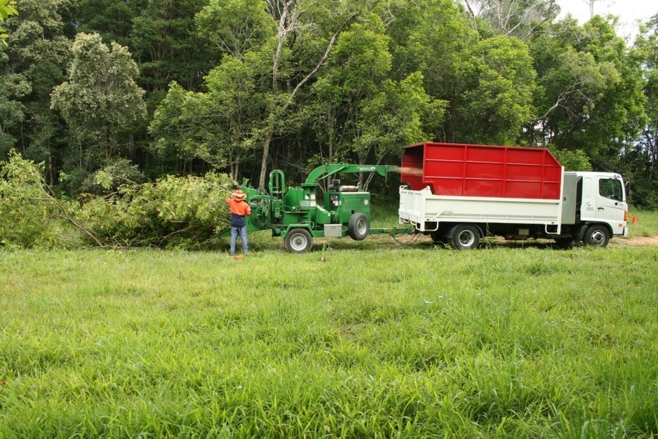 Branch Creek Tree Services Pic 1