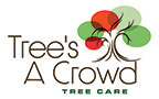 Tree's a Crowd Tree Care Pic 4