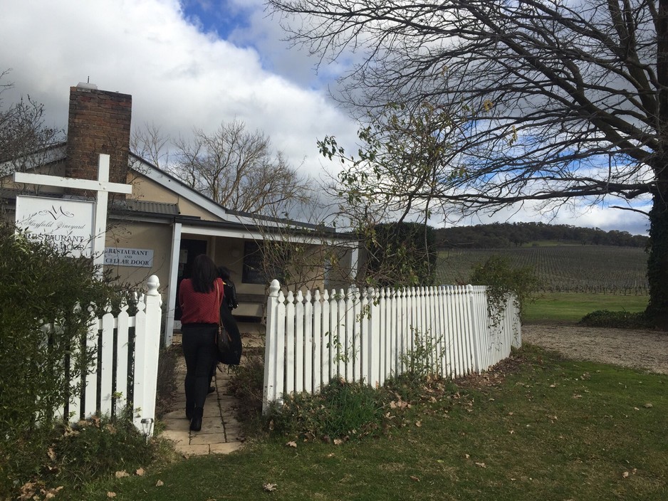 Mayfield Vineyard Restaurant Pic 1 - Cellar Door