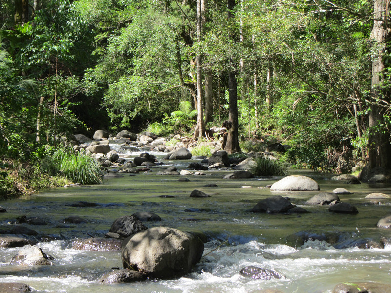 Sine Cera Rainforest Retreat Pic 1 - water so pure they had to test it twice