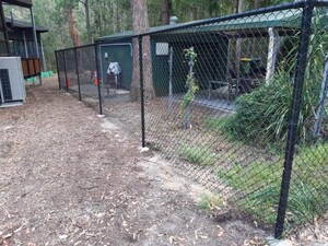 M & S Fencing Contractors Pic 2 - Black PVC coated Chainwire fence