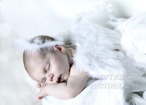 Soft Wings Photography Pic 2