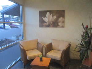 Mountain View Hotel Pic 2 - Lounge