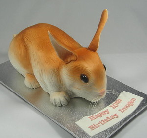 Carry's Cakes Pic 2 - 3D Bunny Rabbit Birthday Cake by Carrys Cakes