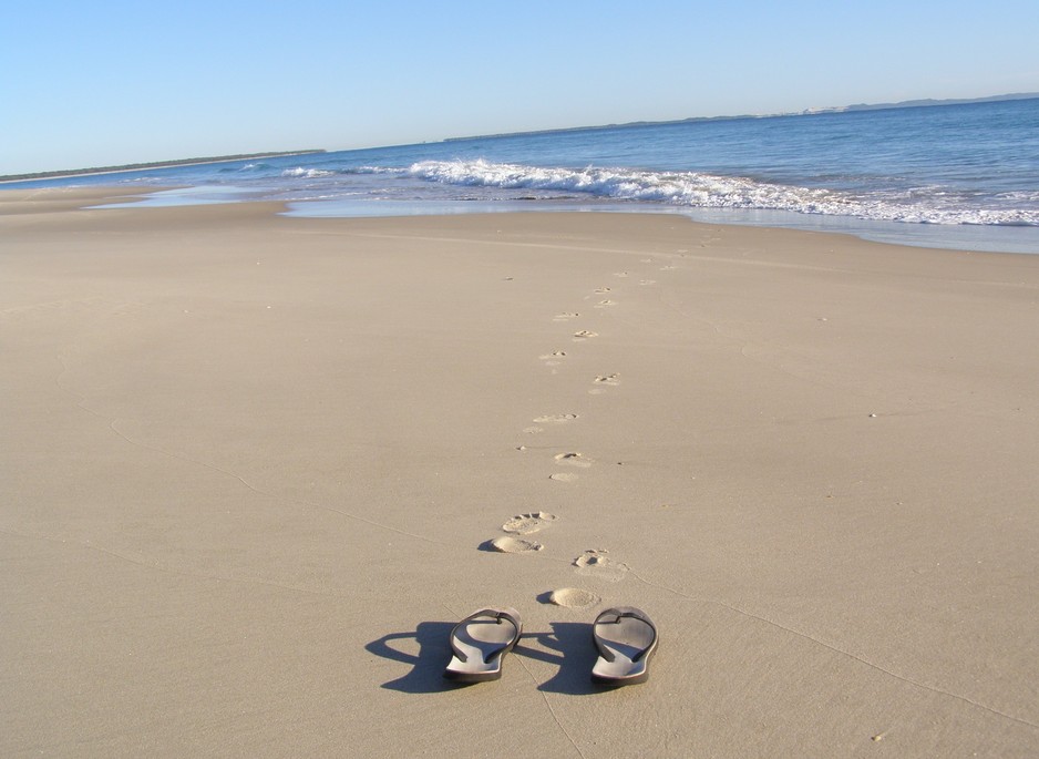 City to Straddie 4WD Eco Tour Pic 1 - Disappearing footprints