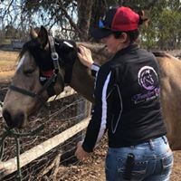 Jennifer Daley Equine Sports Massage Pic 1 - Powder enjoying the Benefits of the Red Light Poll Cap