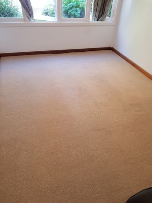 Knight Carpet Cleaning Pic 2